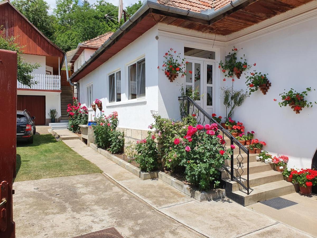 Bed and Breakfast Rozsa Panzio à Rimetea Extérieur photo