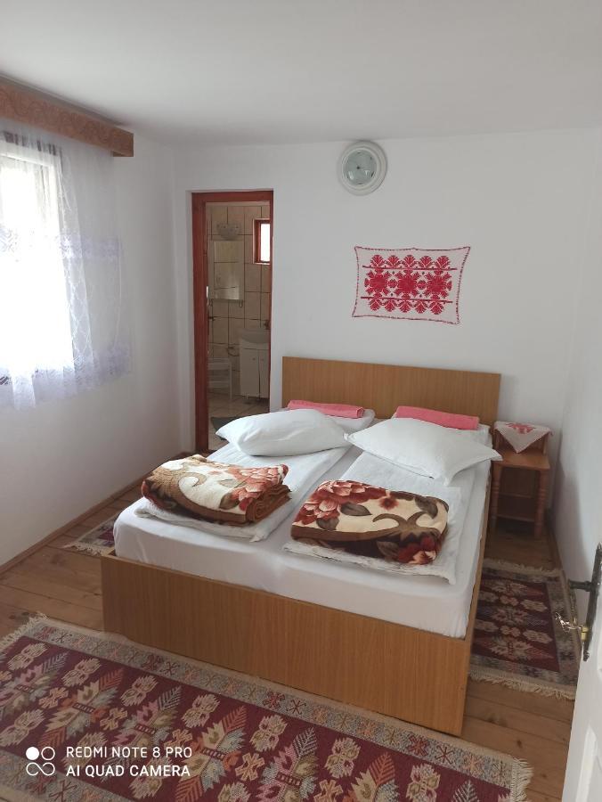 Bed and Breakfast Rozsa Panzio à Rimetea Extérieur photo