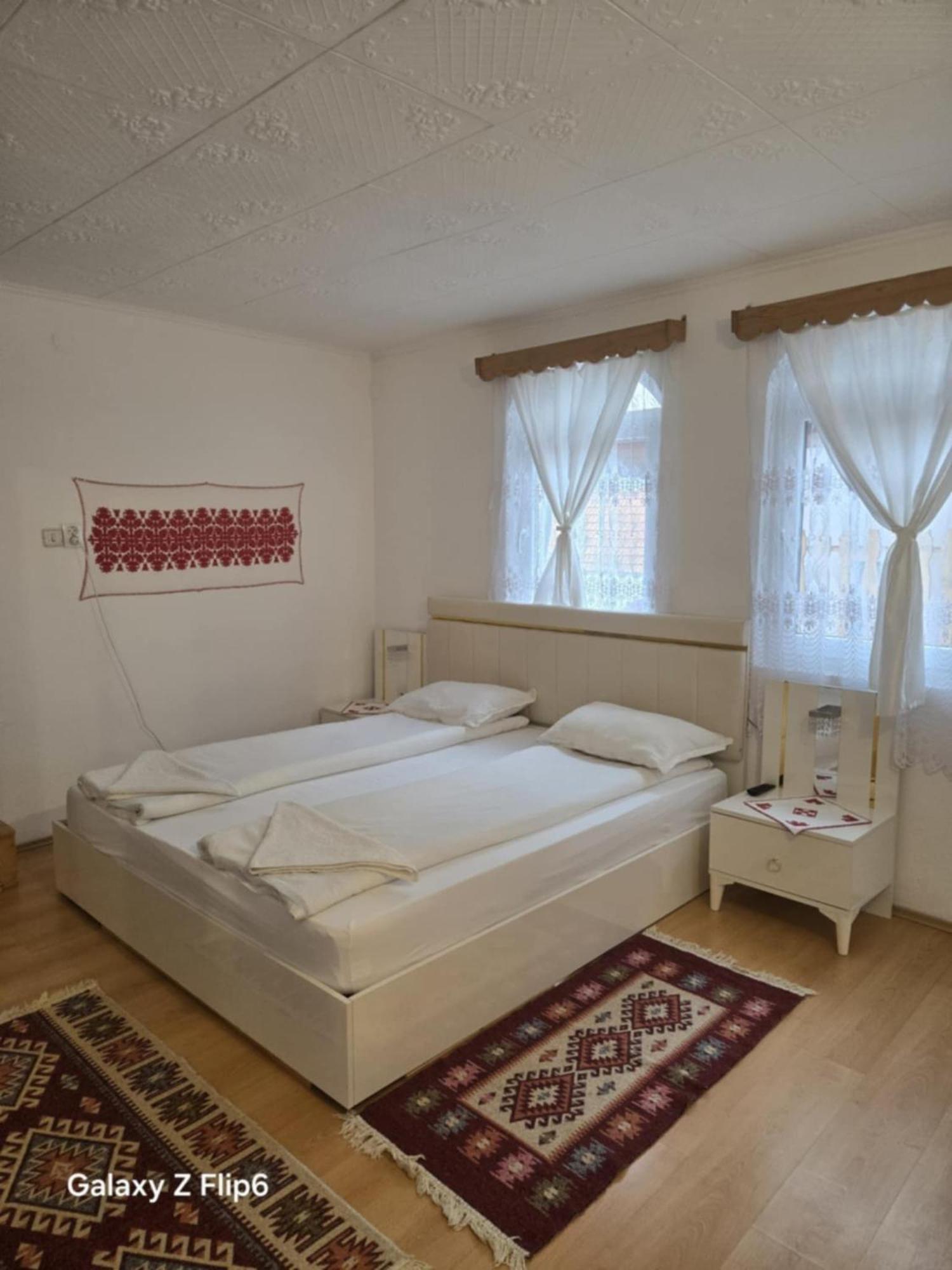 Bed and Breakfast Rozsa Panzio à Rimetea Extérieur photo